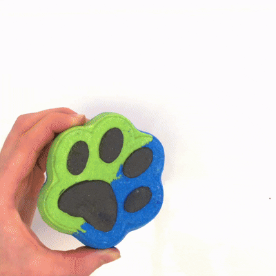 Into The Wild - Bath Bomb with toy